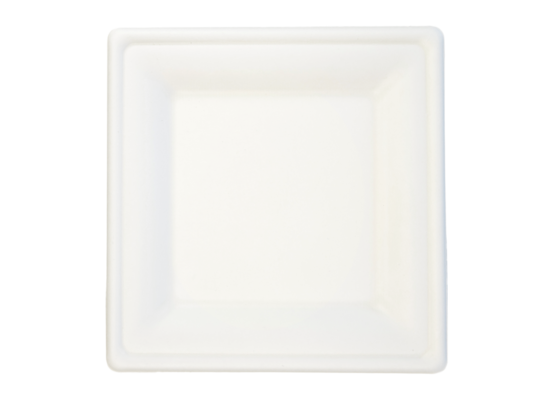 Talerz biodegradowalny z trzciny cukrowej 20 cm 6 sztuk