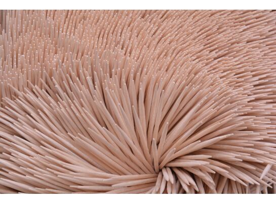 Wykałaczki w beczułce 150 sztuk