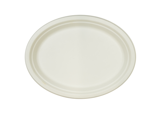 Talerz biodegradowalny z trzciny cukrowej 26 x 19 cm 6 sztuk