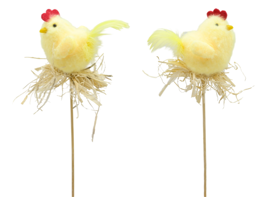 Kurczak na piku 30 cm