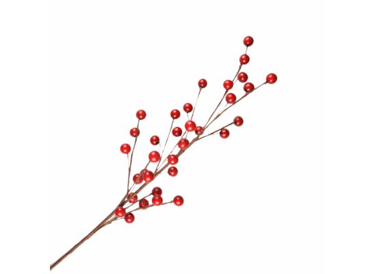 Gałązka czerwonych jagód