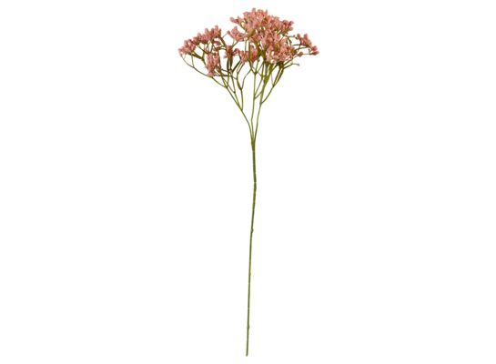 Gipsówka 36 cm