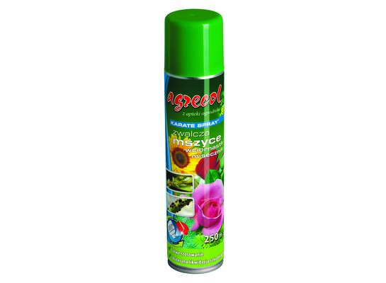 Środek owadobójczy Karate Spray 250 ml Agrecol