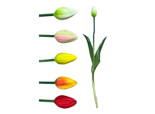 Tulipan 40 cm mix
