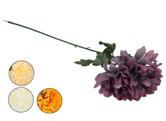 Chryzantema 75 cm mix