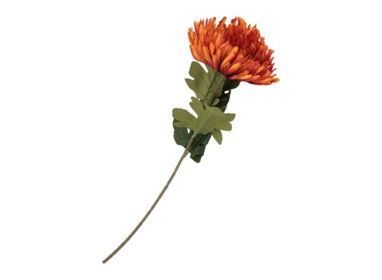 Chryzantema 60 cm pomarańczowy