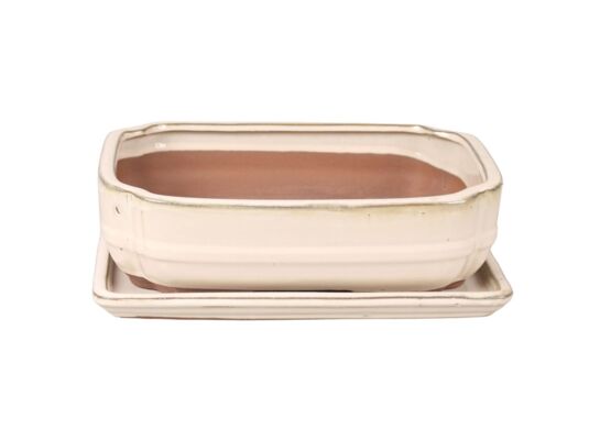 Donica szkliwiona Bonsai z podstawką 21,5 x 17 cm kremowy