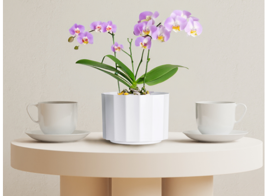 Osłonka Astoria 11 cm biały