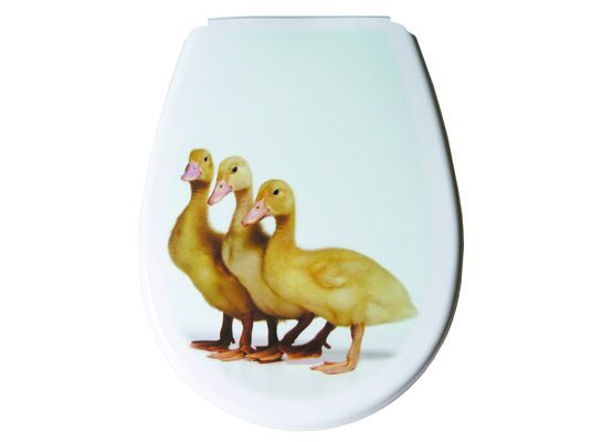 Deska WC LILIA FOTO kaczki