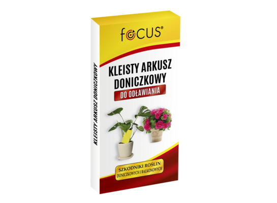 Lep na owady doniczkowe 10 sztuk FOCUS