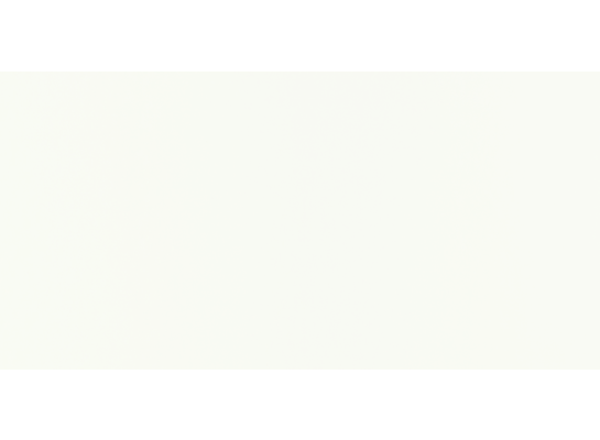 Płytka biała Joy 29,8 x 59,8 cm mat rektyfikowana