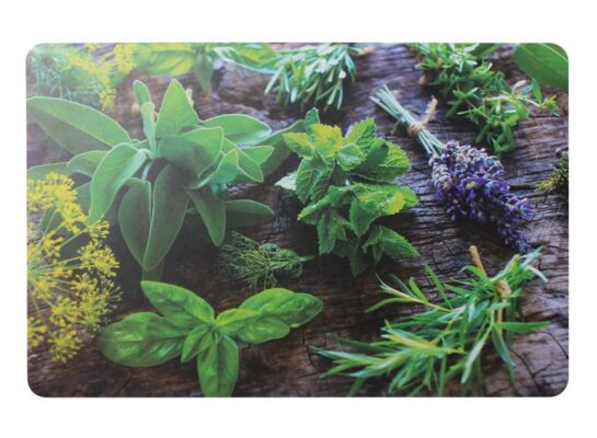 Podkładka Erbe 43,5 x 28 cm wielokolorowy