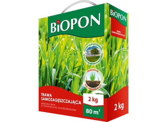 Trawa samozagęszczająca 2 kg Bopon