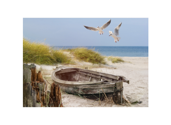 Obraz na płótnie 50 x 70 cm Morza szum