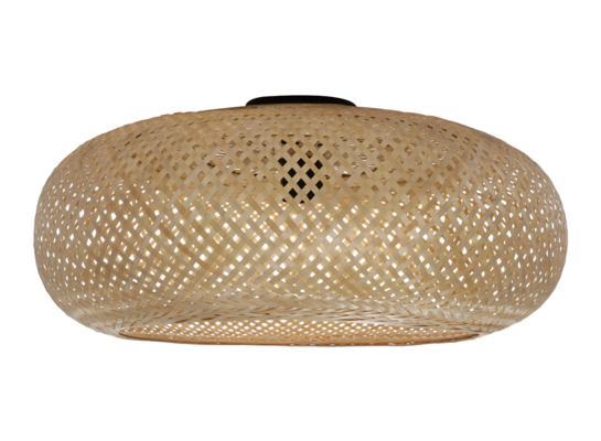 Lampa sufitowa SALOMON 10 W