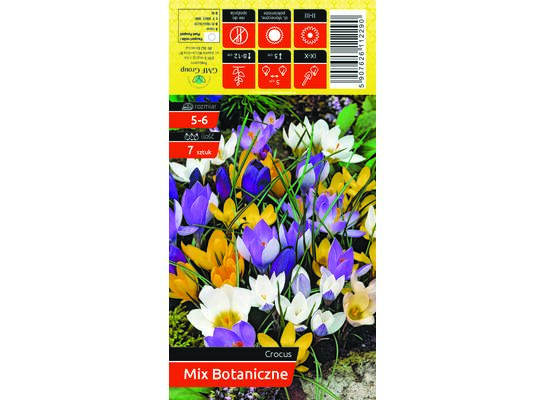 Krokus botaniczny rozmiar 5-6 7 sztuk mix