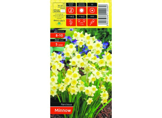 Narcyz Minnow żółty rozmiar 8-10 5 sztuk