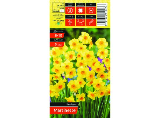 Narcyz Martinette rozmiar 8-10 5 sztuk