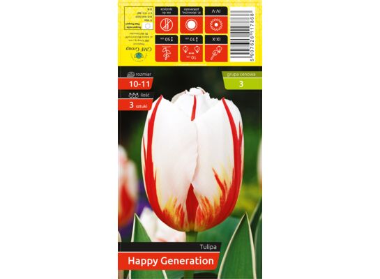 Tulipan Happy Generation rozmiar 10-11 kapers 3 szt
