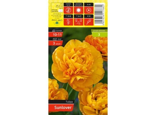 Tulipan Sunlover rozmiar 10-11 kapers 3 szt