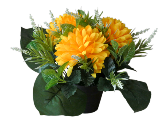 Stroik dekorowany w donicy 3 chryzantemy mix