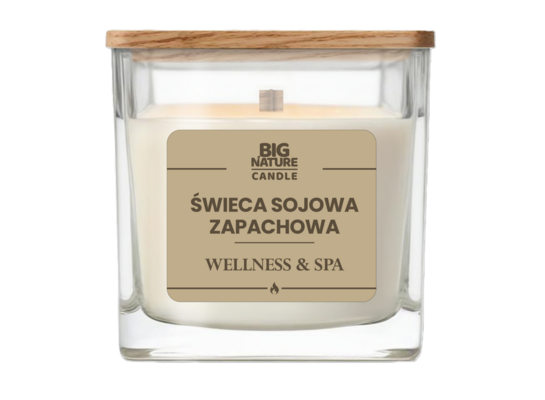 Świeca sojowa Wellness & SPA 220 g