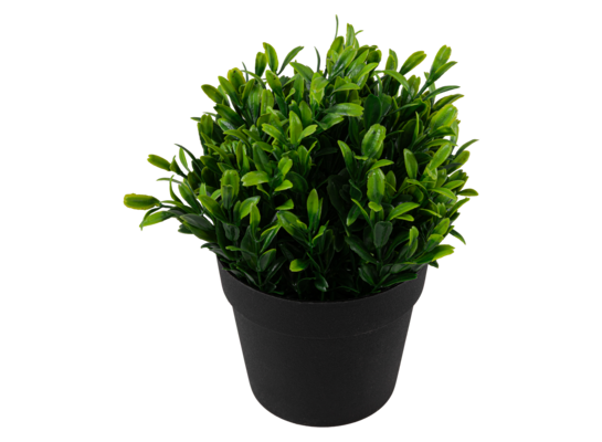 Kwiat sztuczny liść w donicy 19 cm zielony