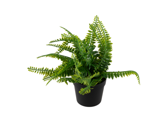 Paproć sztuczna w doniczce 25 cm