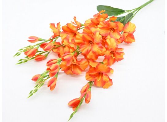 Mieczyk bukiet 5 główek 67 cm koralowy