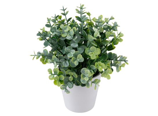 Eukaliptus sztuczny w doniczce 23 cm