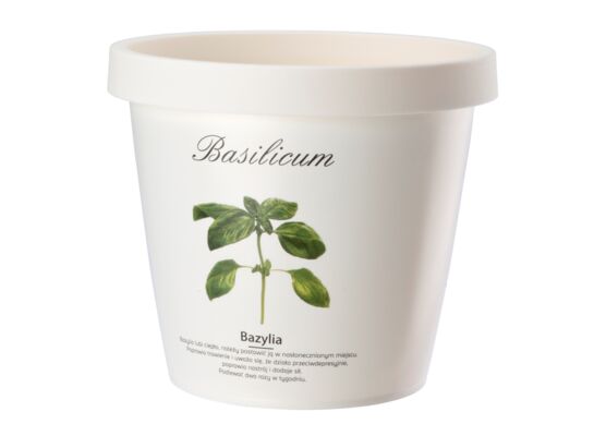 Doniczka ZIOŁA 13 cm bazylia - szczyp