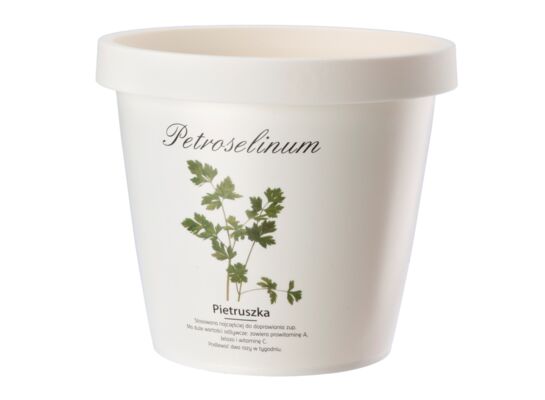 Doniczka ZIOŁA 13 cm oregano - pietruszka