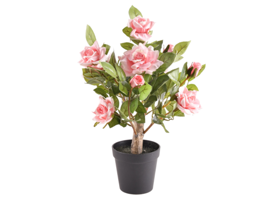 Drzewko różane sztuczne 40 cm mix kolorów