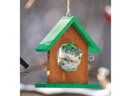 Karmnik dla ptaków drewniany sosna19 x 8 x 18 cm brązowo-zielony