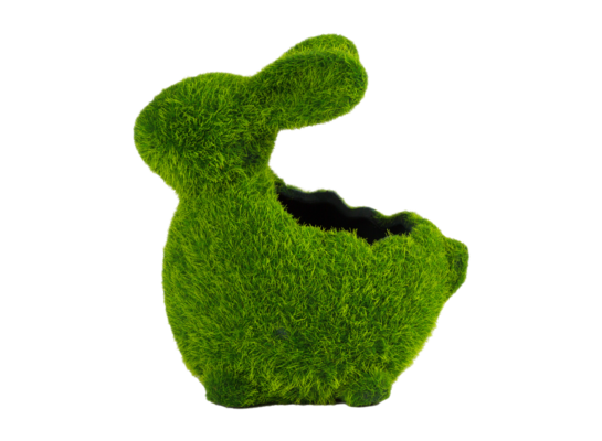 Osłonka ceramiczna na rzeżuchę 13,5 cm zielony