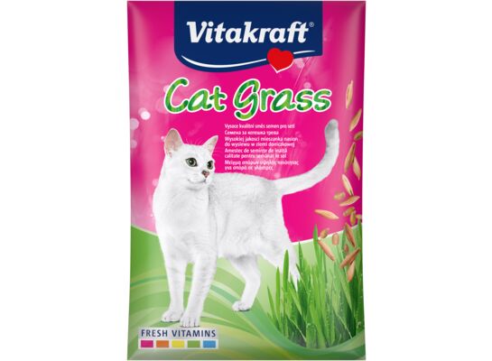 Przysmak dla kota Cat Grass nasiona trawy 50 g Vitakraft
