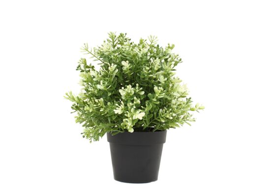 Kwiat sztuczny w doniczce zielono-biały wys. 20 cm