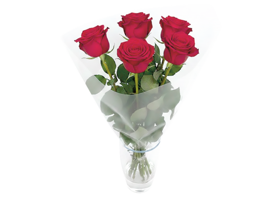 Róża czerwona 50 cm bukiet 5 sztuk