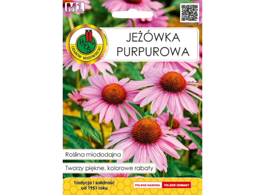 Jeżówka purpurowa 1 g GC M1 PNOS