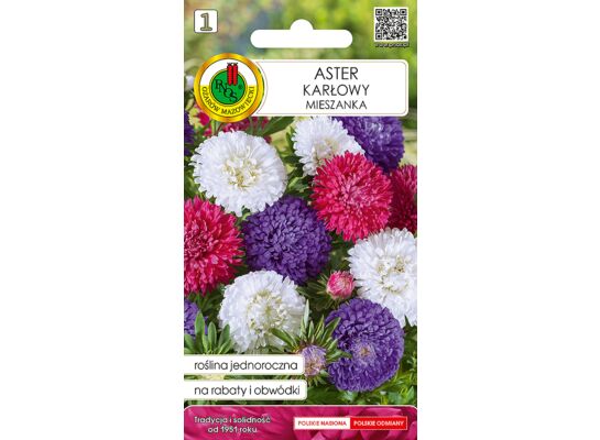 Aster karłowy mieszany 0,5 g GC 1 PNOS