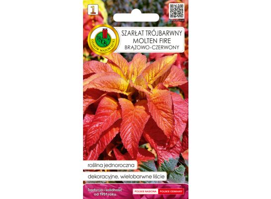 Szarłat trójbarwny 'Molten Fire' brązowo-czerwony 0,2 g GC 1 PNOS