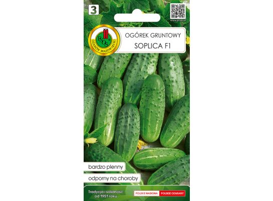 Ogórek gruntowy Soplica F1 2 g GC 3 PNOS