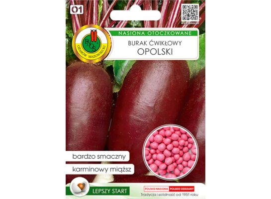 Burak ćwikłowy opolski 100 ziaren OT GC O1 PNOS