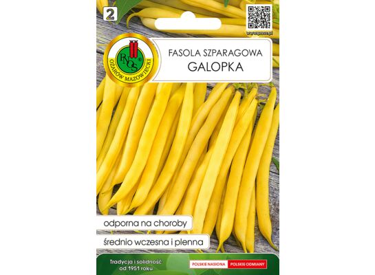 Fasola szparagowa żółta karłowa Galopka 20 g GC 2 PNOS