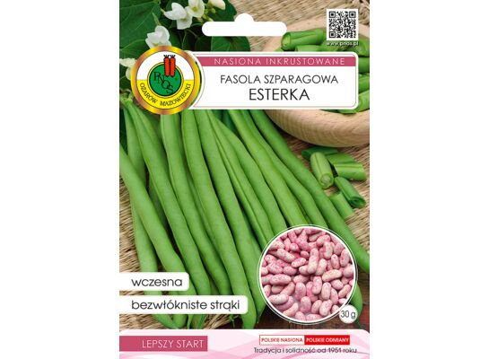 Fasola szparagowa zielona karłowa Esterka inkrustowana 30 g GC inkrust PNOS