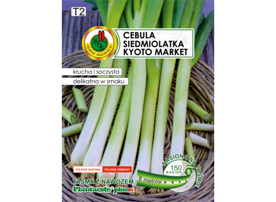 Cebula siedmiolatka Kyoto market z nawozem 6 m GC T2 PNOS