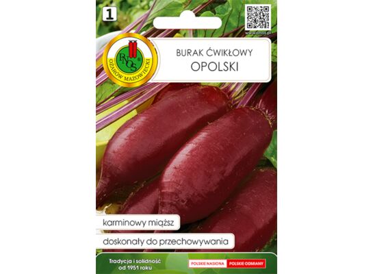 Burak ćwikłowy opolski 5 g GC 1 PNOS