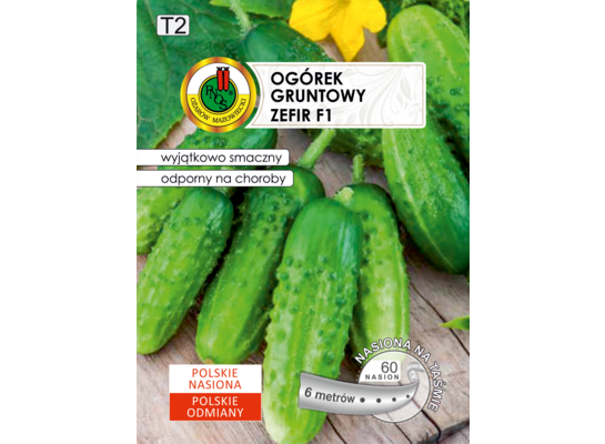 Ogórek gruntowy 'Zefir' F1 6 m GC T2 PNOS