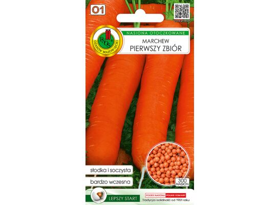 Marchew jadalna pierwszy zbiór 300 ziaren OT GC O1 PNOS