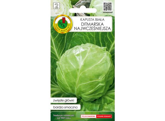 Kapusta głowiasta ditmarska 1 g GC 2 PNOS